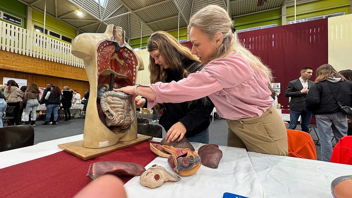 Az emberi test részei.