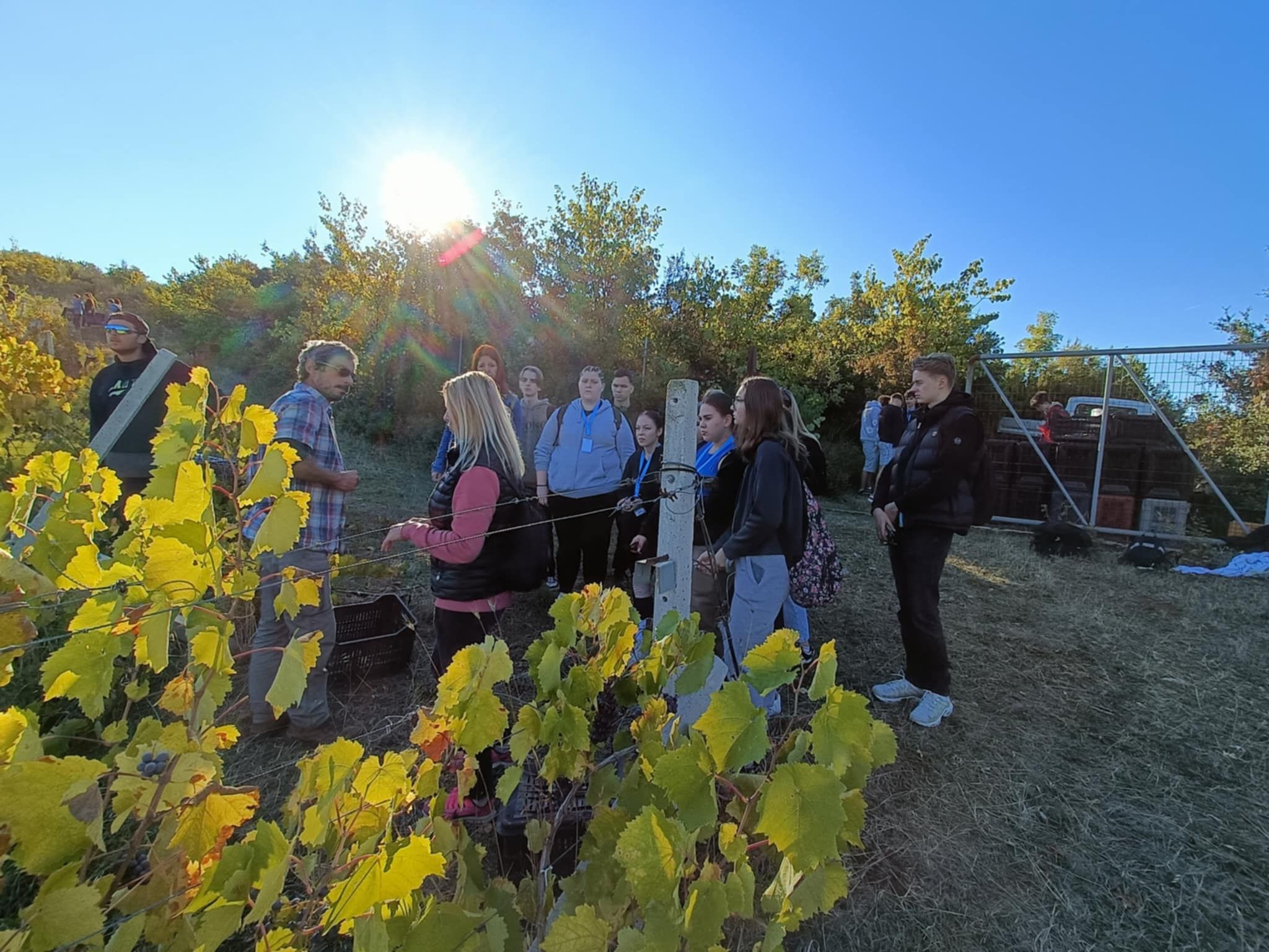 A kereskedős csapat Aiganiba, egy szőlőszüretre utazott, megismerhették a borkészítés alapjait.
